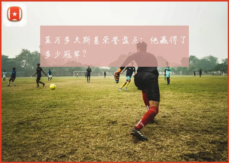 莱万多夫斯基荣誉盘点：他赢得了多少冠军？